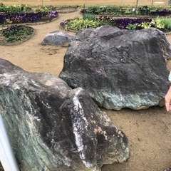 庭石
