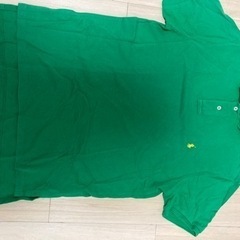 ラルフポロ2枚の画像