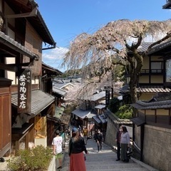 京都を回りませんか。 - 墨田区