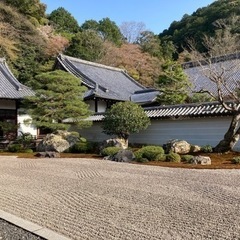 京都を回りませんか。 - メンバー募集