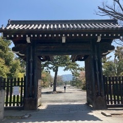 京都を回りませんか。 − 東京都