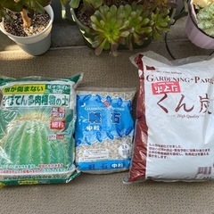 多肉植物用の土