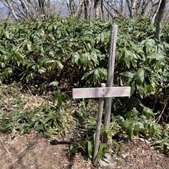 砥石郷山〜恐羅漢山〜旧羅漢山　 − 広島県