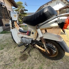 HONDAシャリー50 角目オリジナル