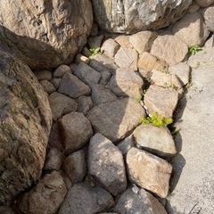 庭土 庭石 差し上げます　取引中。の画像