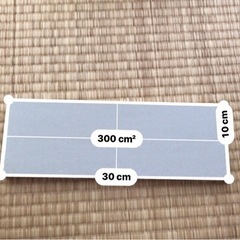 石膏ボード12.5mm