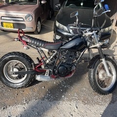 tw200
