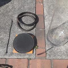 ガラス円柱水槽の画像