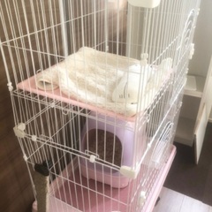 猫ゲージ２段の画像