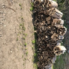 BBQ等にいかがでしょうか？