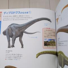 恐竜図鑑の画像
