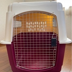 大型犬用ケージ