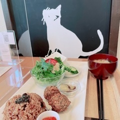 猫相談/猫トーク - 友達
