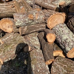 薪用　(ナラの原木丸太)の画像