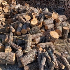 薪用　(ナラの原木丸太)の画像