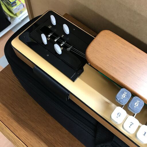 大正琴 ライリッシュ LPS50 ケース付き ※現状販売品
