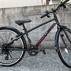 SCHLEINの中古が安い！激安で譲ります・無料であげます(5ページ