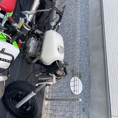 エイプ50 書類有り、鍵無し