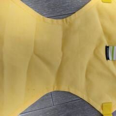 ベビー用　チェアベルトの画像