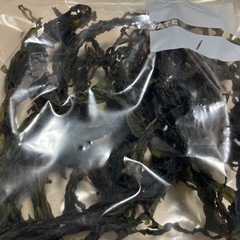 岡山県産　新物ワカメ　50グラム