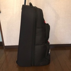 キャリーバッグの画像
