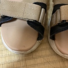 gravis スポサンの画像
