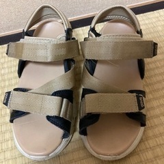 gravis スポサン