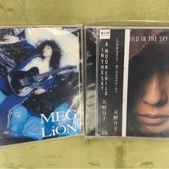 天野月子 CD ６枚の画像