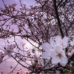 草刈り