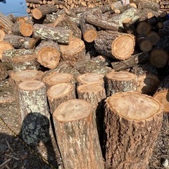 薪用　(ナラの原木丸太)の画像