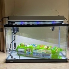 【 60cm水槽】曲げガラスフレーム水槽、LEDトライアングルグ...