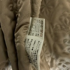 ECSAINE PLAZA  スエードコート　サイズ9号 身幅55、着丈75センチの画像