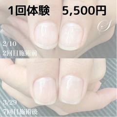 最強ネイルケア　1回体験