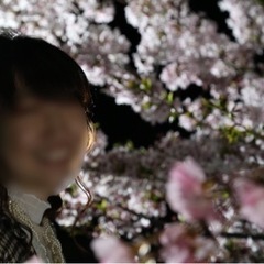 紅葉やイルミネーション撮りに行きませんか？ - 名古屋市