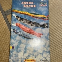 東レ　鯉のぼり