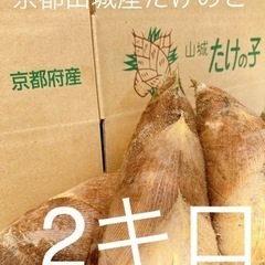 【京都】山城産　朝ぼり　たけのこ　2キロ