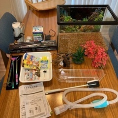 45cm水槽　これから始める人全部揃うセット！