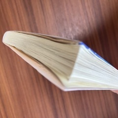 ラノベ 時給三〇〇円の死神の画像
