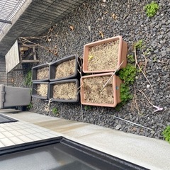 【取引中】プランター汚れありできたら土ごとの画像