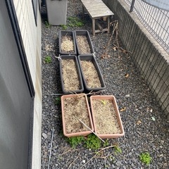 【取引中】プランター汚れありできたら土ごと