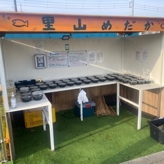 里山メダカ無人販売所　ミジンコとエビ　4/11