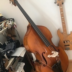 エレキベース、ウッドベースのレッスンです。出張、オンラインでも承っております。の画像