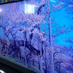 東芝 2018年製 40型 4K対応 液晶テレビ【愛品倶楽部柏店】の画像