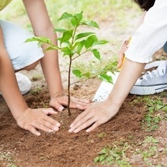 楽々♪農作業スタッフ募集★未経験者大歓迎♪子連れOK！好きな時間に働ける！複数名大募集の画像