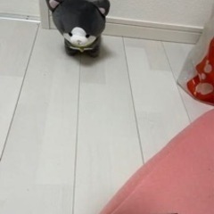 防犯カメラ赤ちゃんなどを見守る用にの画像