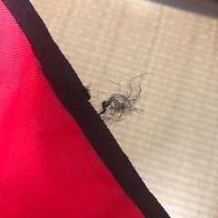 【取引完了】折り畳みチェアの画像