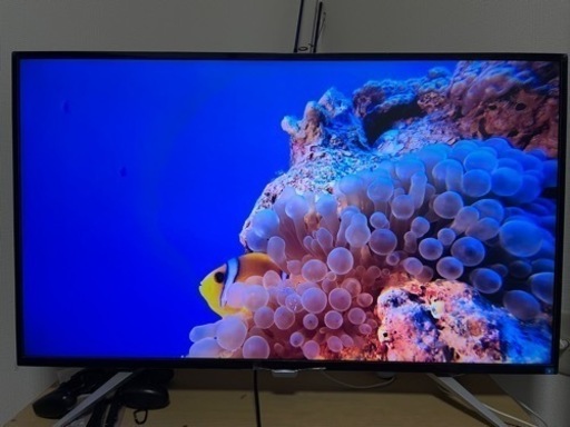 43インチ 4K IPS液晶モニター　液晶ディスプレイ　BDM4350UC/11 フィリップス