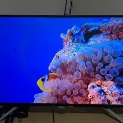 43インチ 4K IPS液晶モニター　液晶ディスプレイ　BDM4350UC/11 フィリップス