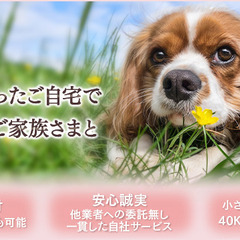 訪問ペット火葬プティセレモ　ペットの旅立ちをお手伝いします【出張専門】