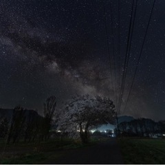 カメラの使い方教えますの画像